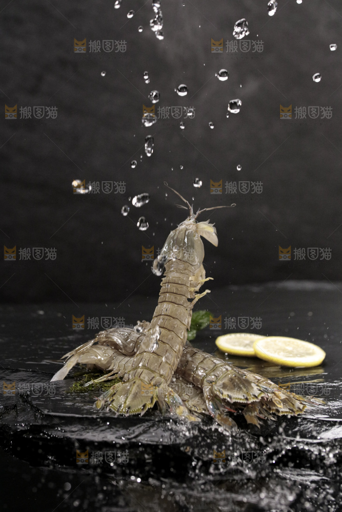 皮皮虾
