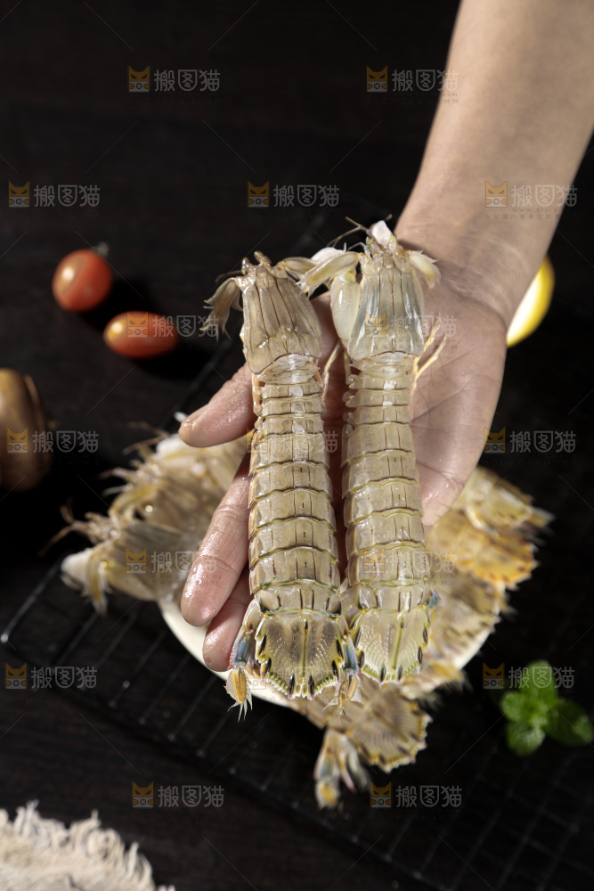 皮皮虾