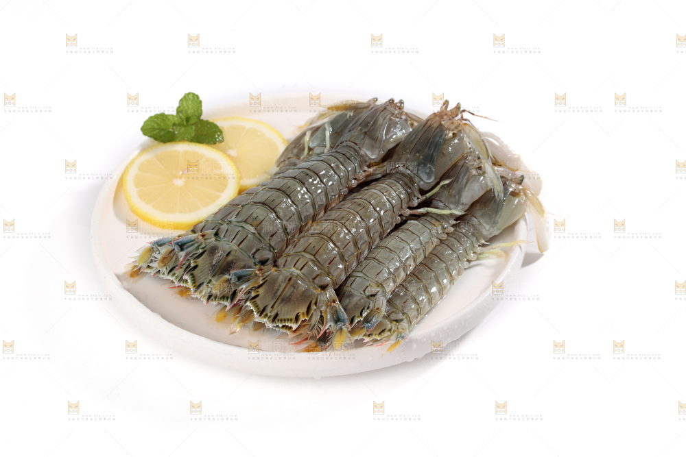 皮皮虾