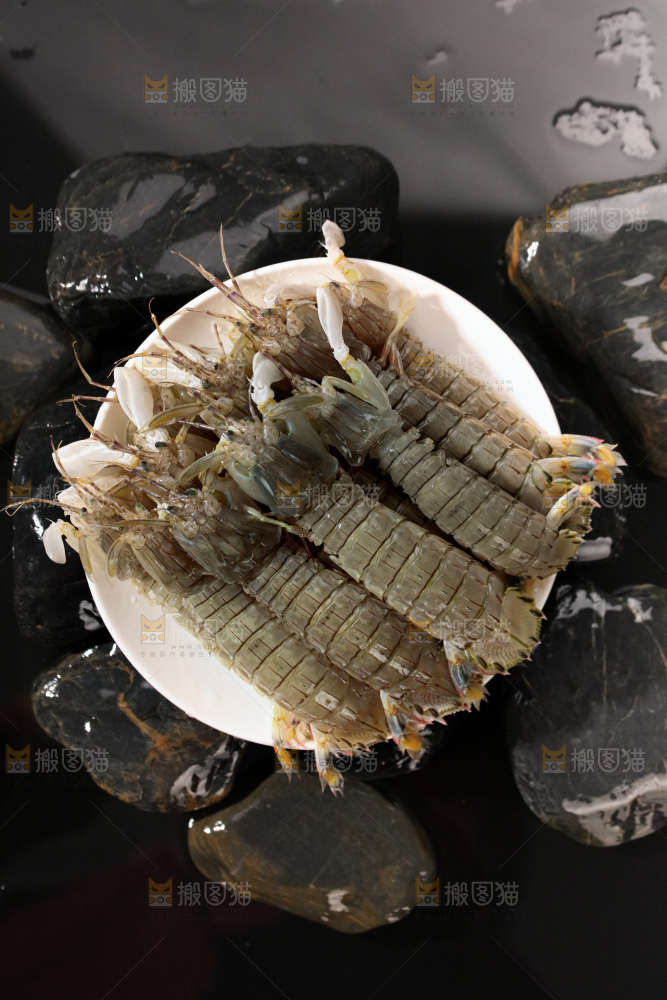 皮皮虾