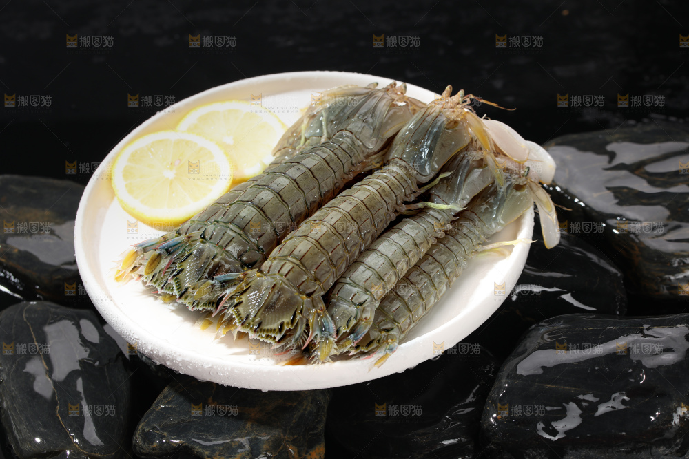 皮皮虾