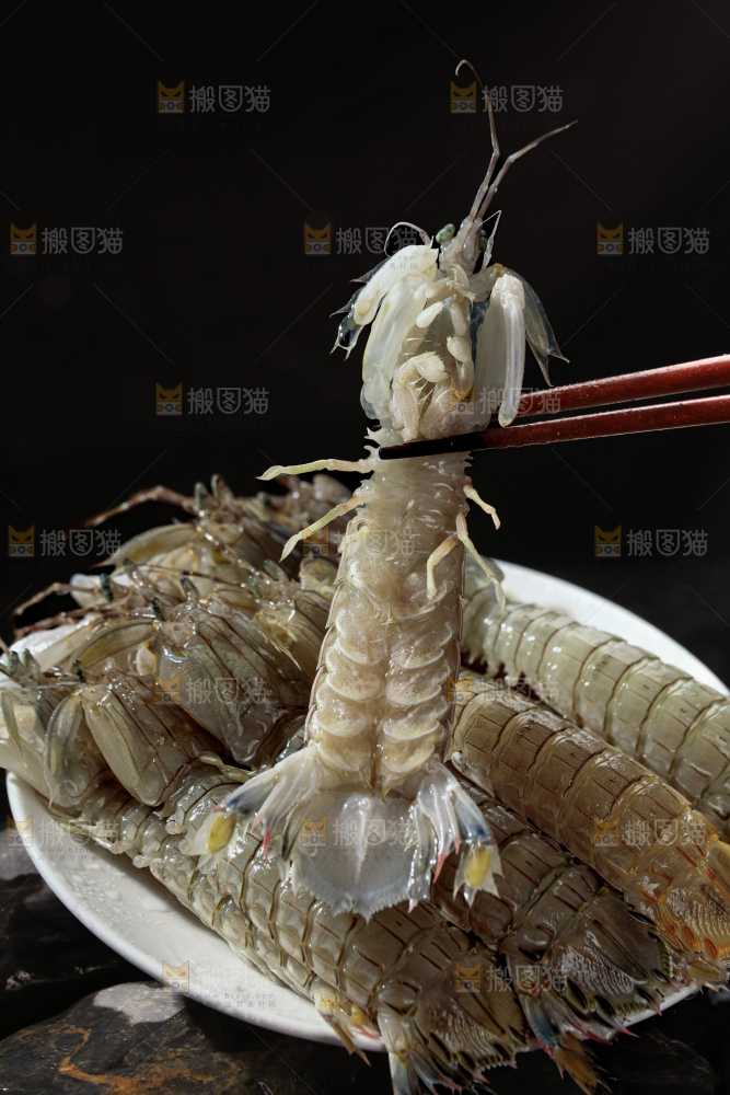 皮皮虾
