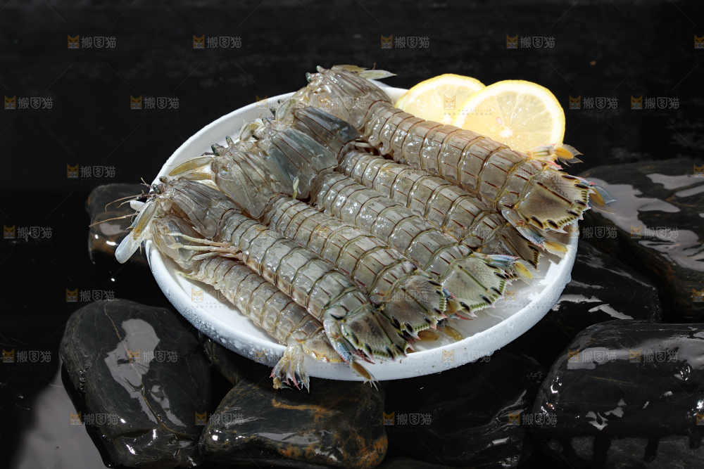皮皮虾