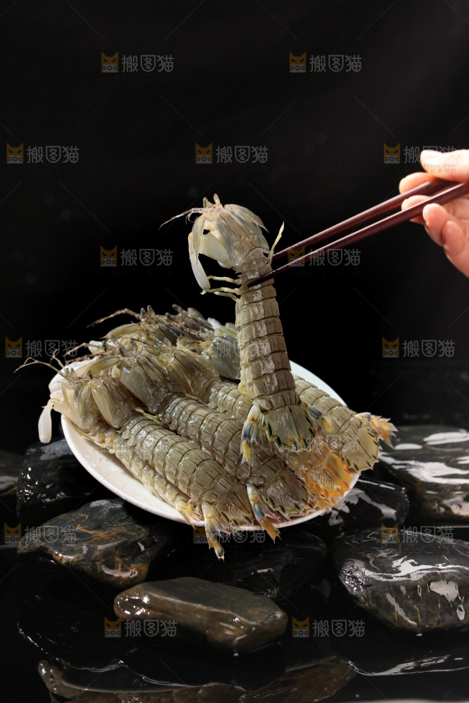 皮皮虾