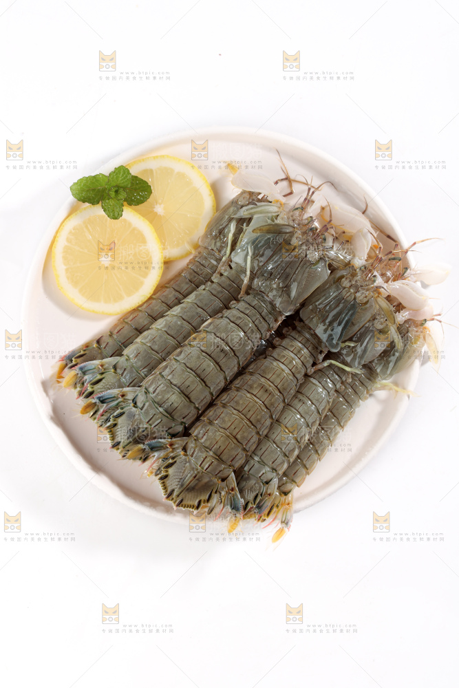 皮皮虾