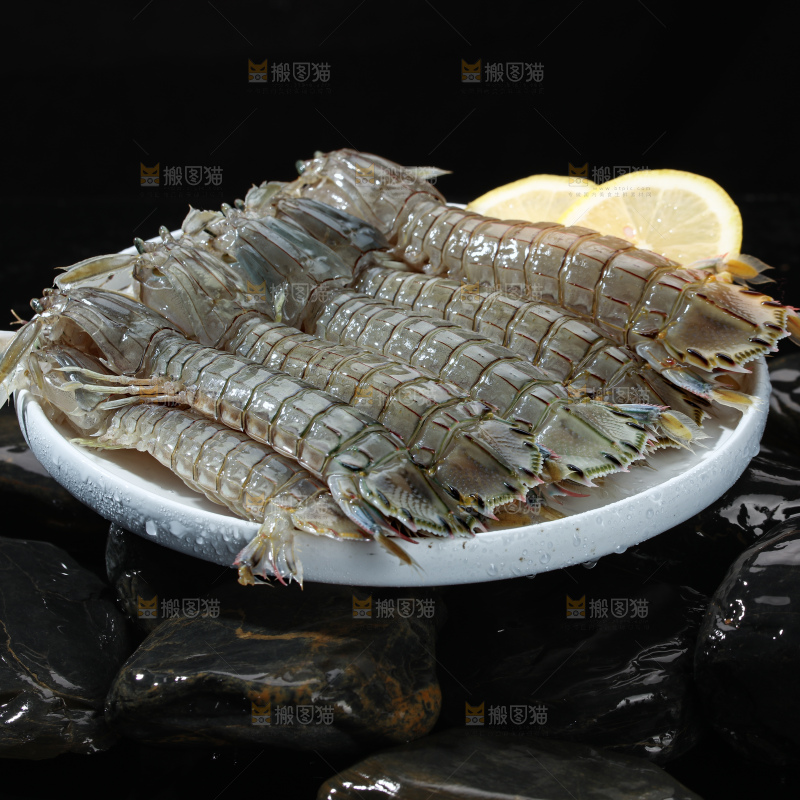 皮皮虾