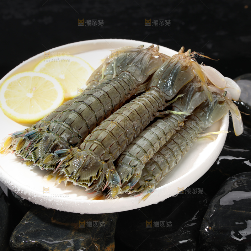 皮皮虾
