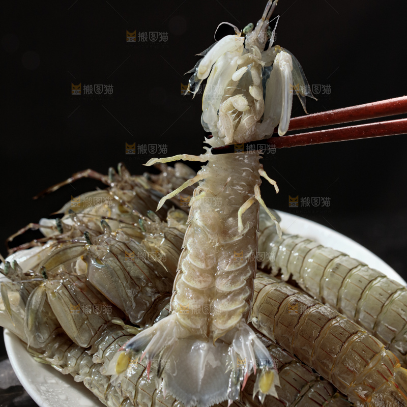 皮皮虾