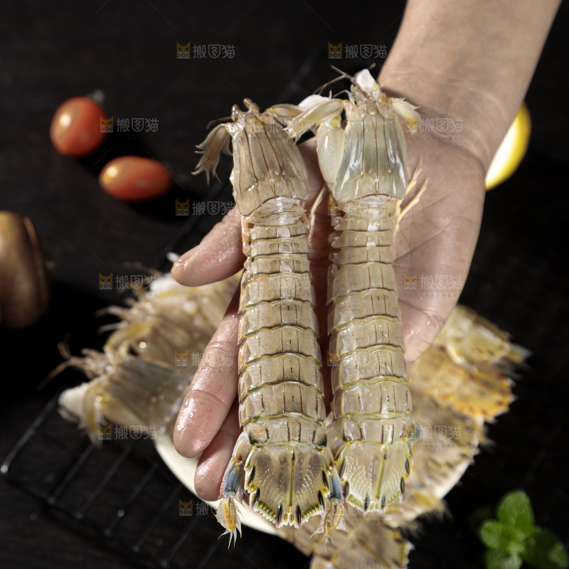 皮皮虾