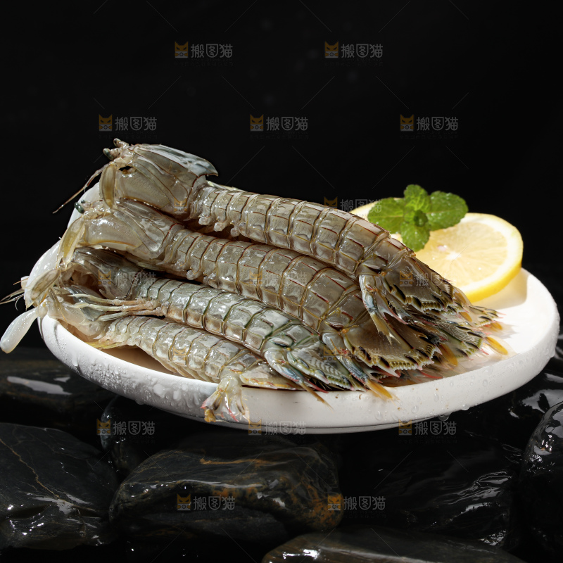 皮皮虾