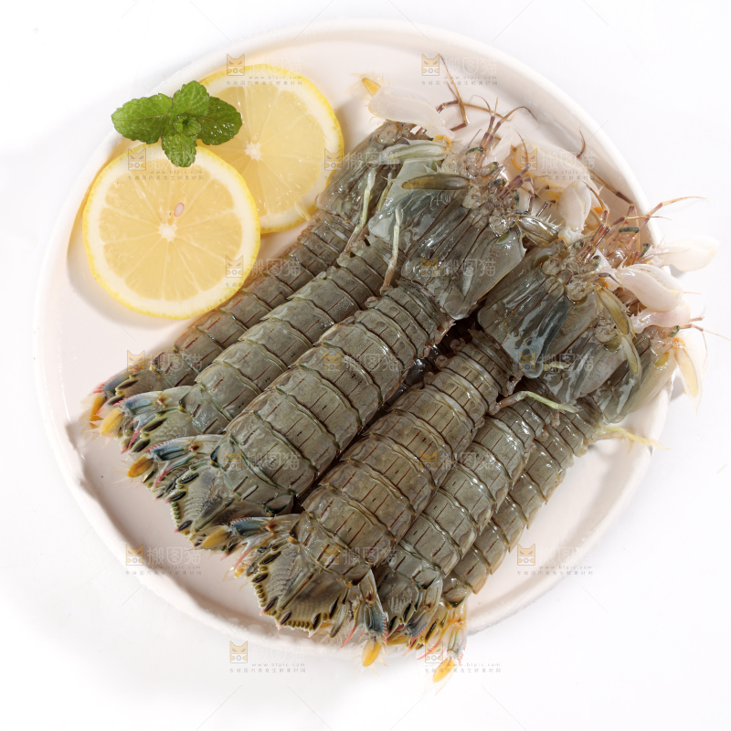 皮皮虾