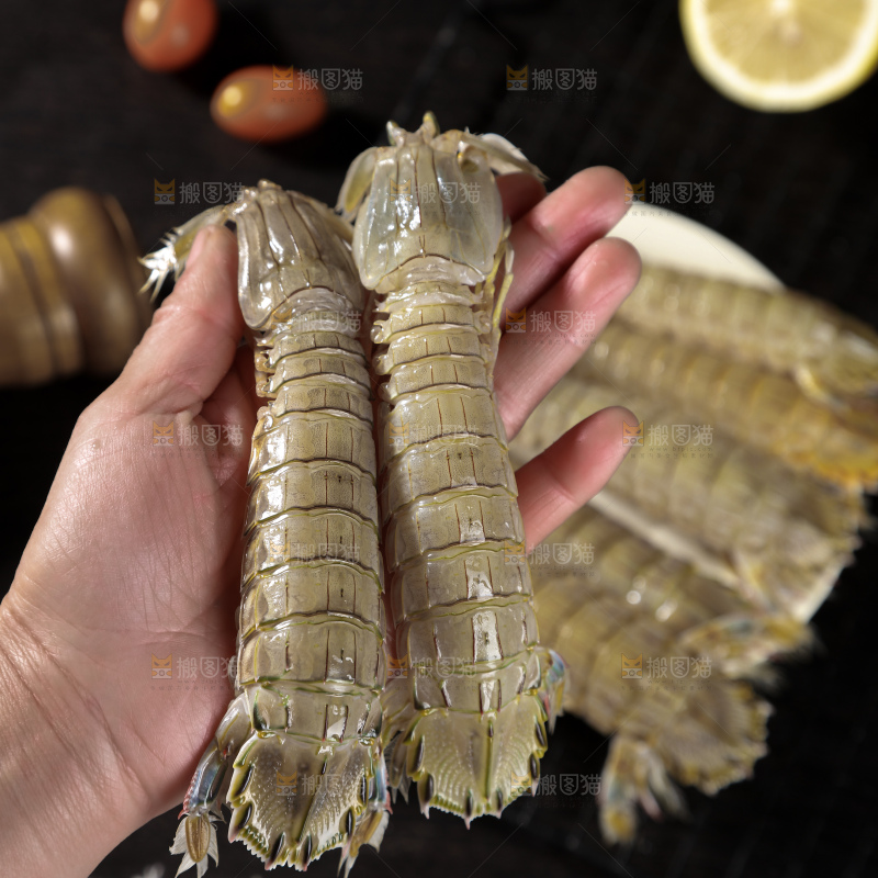 皮皮虾