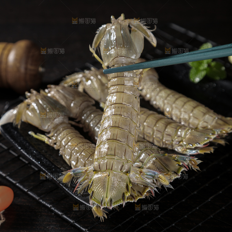 皮皮虾