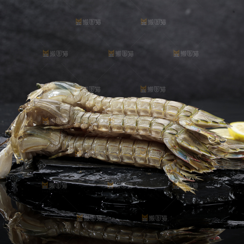 皮皮虾