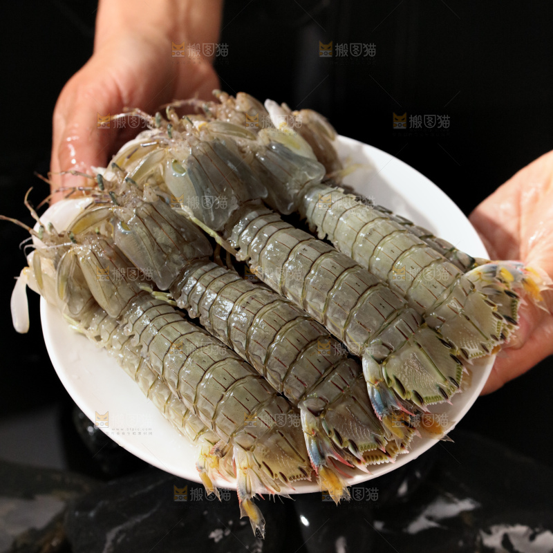 皮皮虾