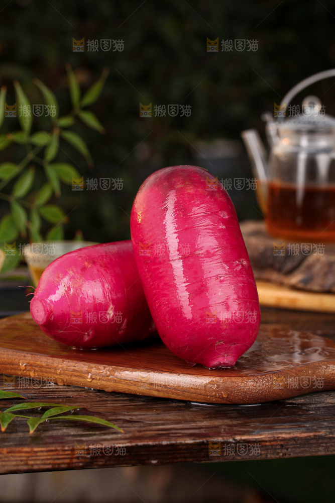 紫美人萝卜