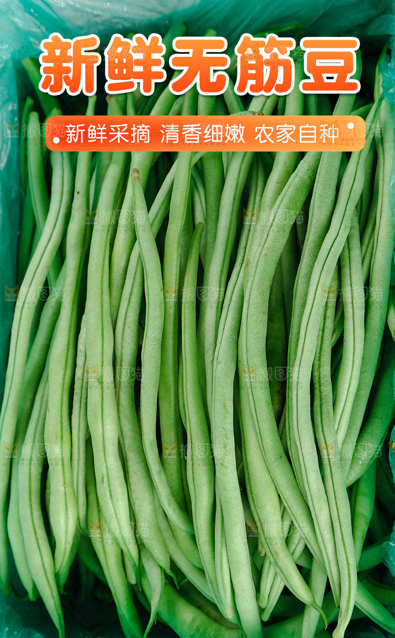 无筋豆详情页
