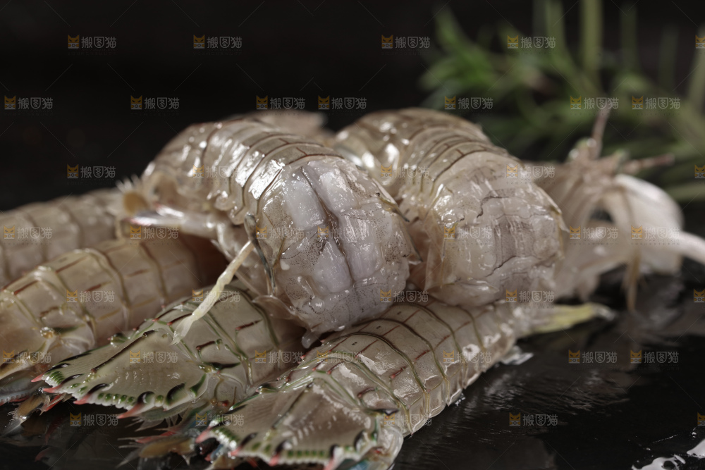 皮皮虾