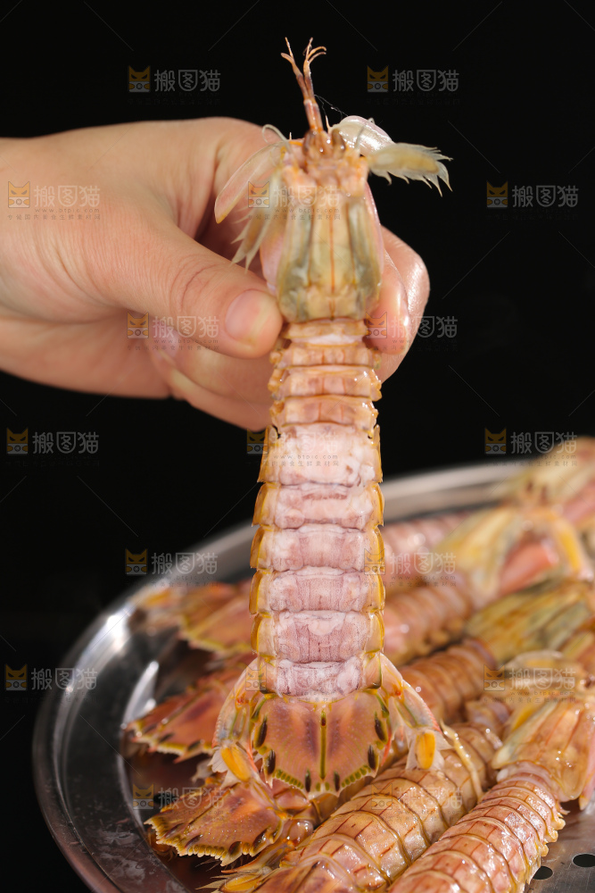 清蒸皮皮虾