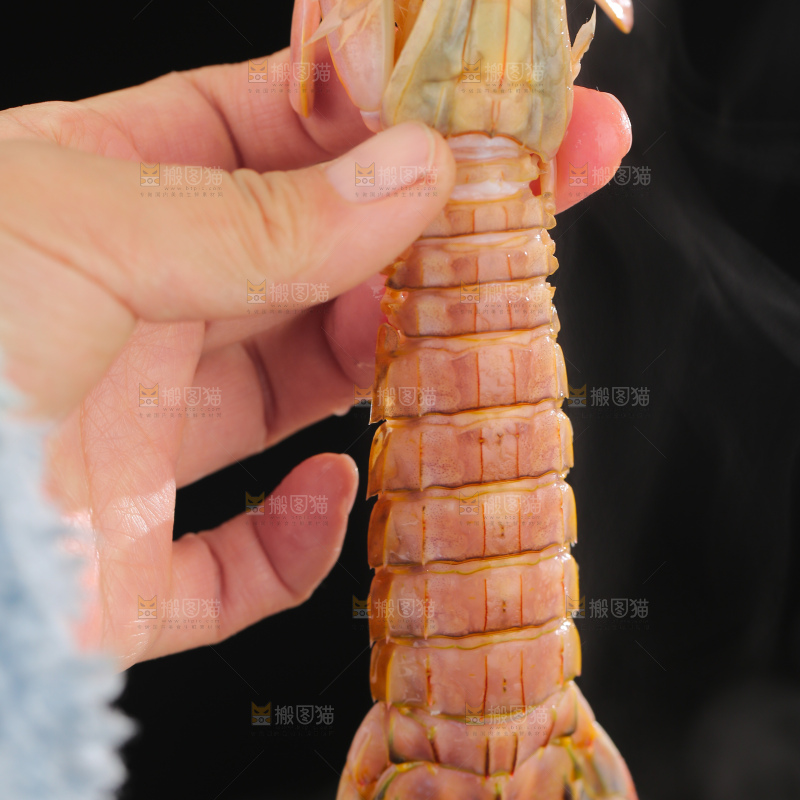 清蒸皮皮虾