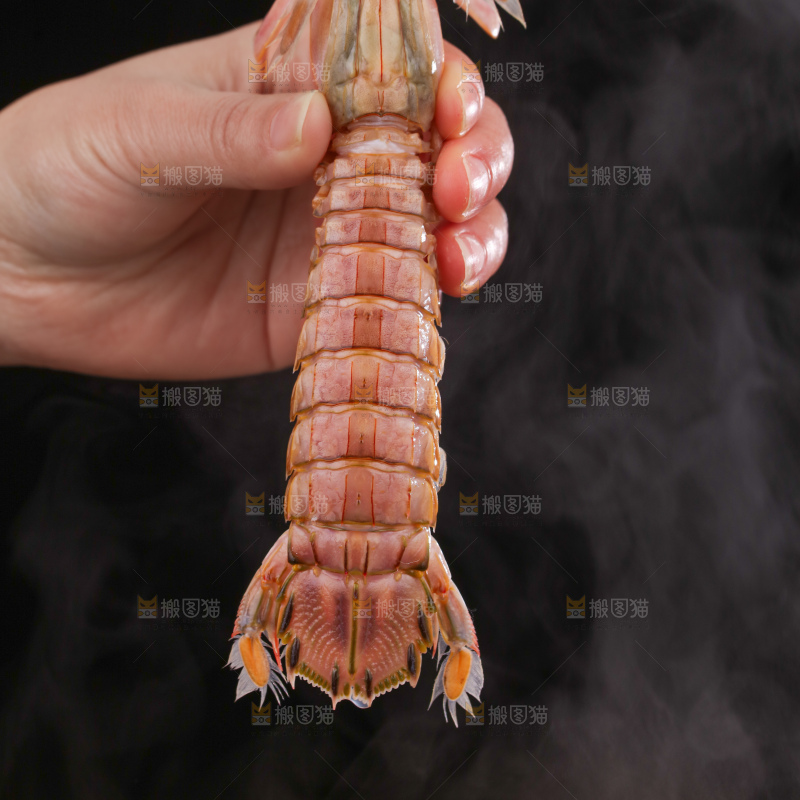 清蒸皮皮虾