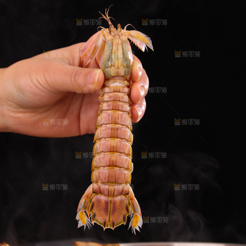清蒸皮皮虾