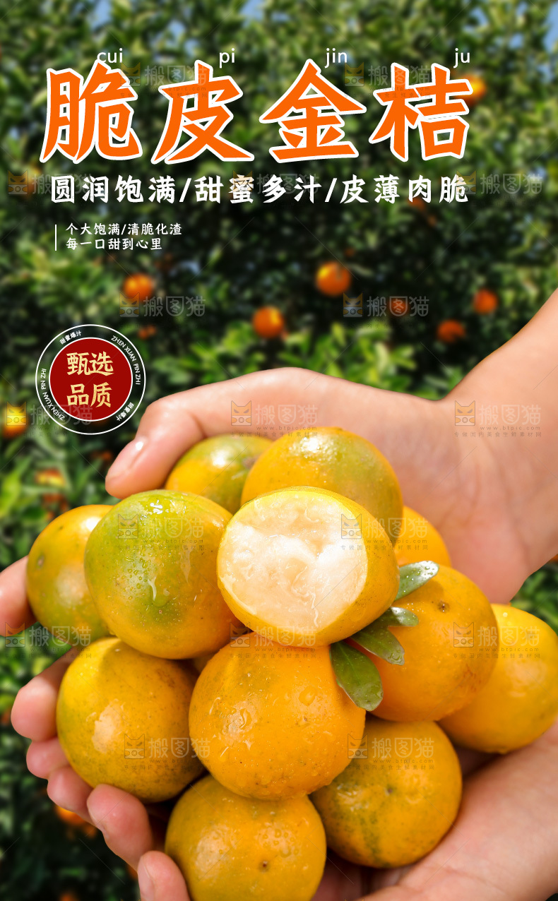 脆蜜金柑详情页
