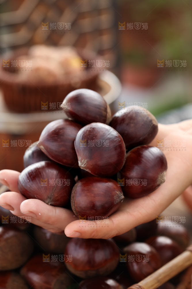 丹东大板栗
