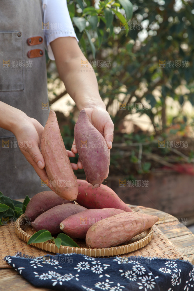 四色蜜薯