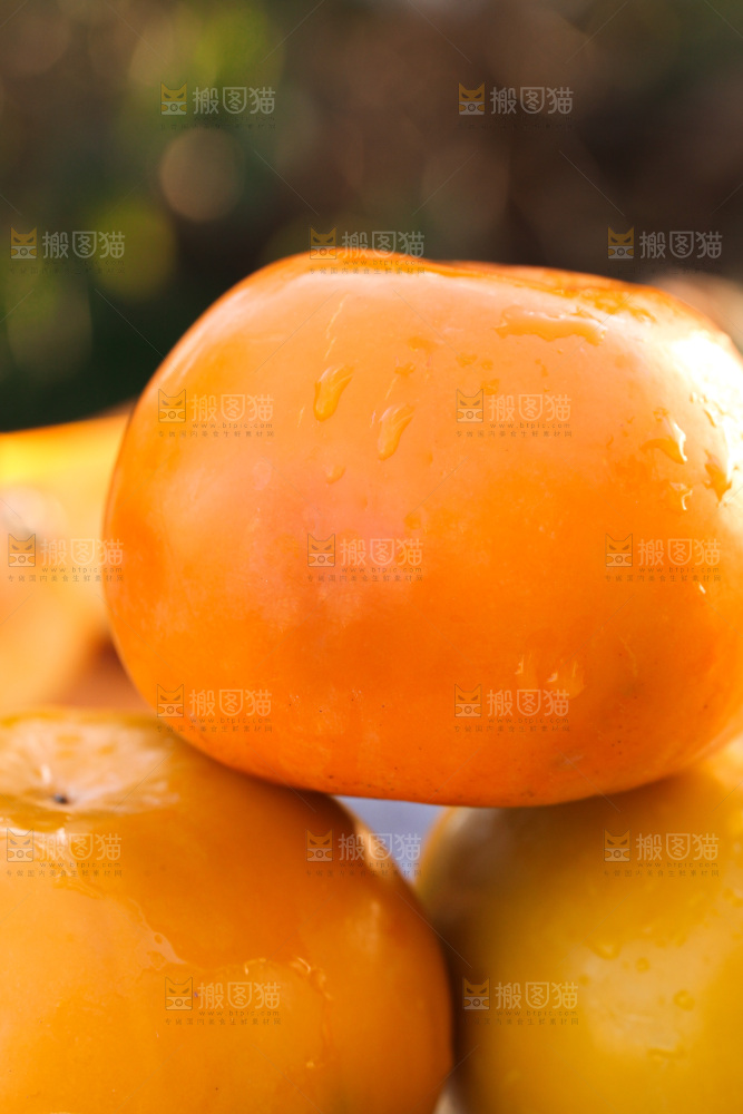 脆柿