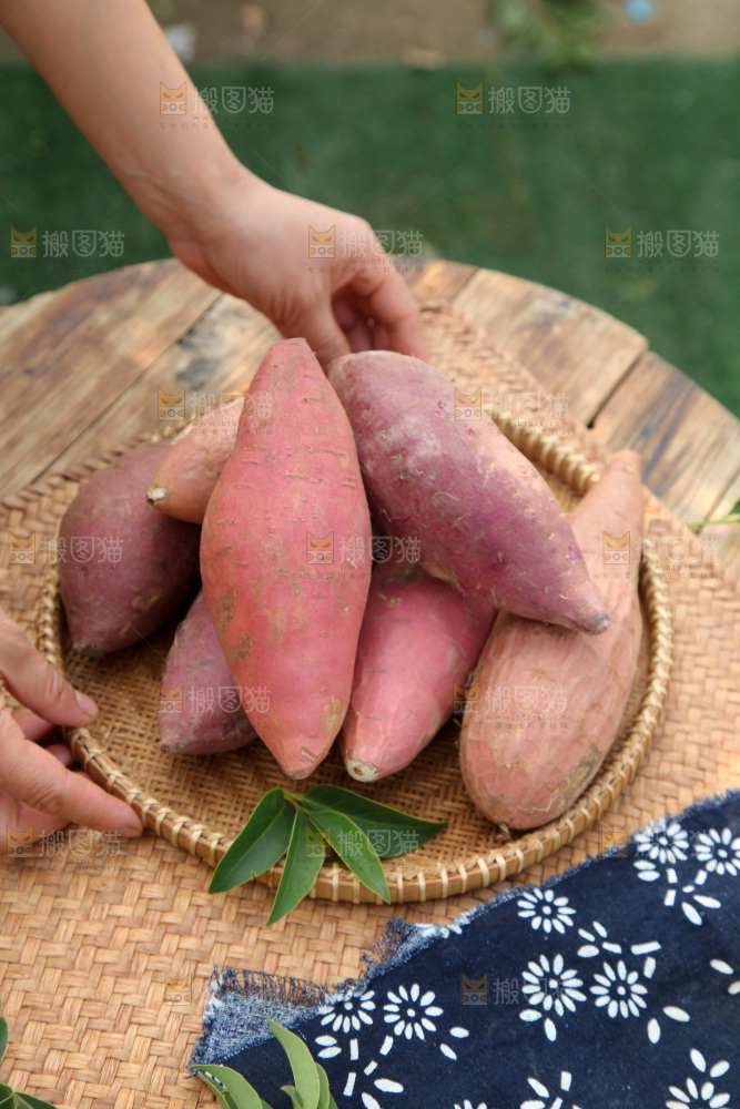 四色蜜薯