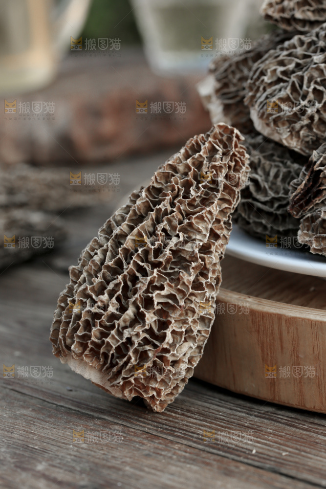 羊肚菌