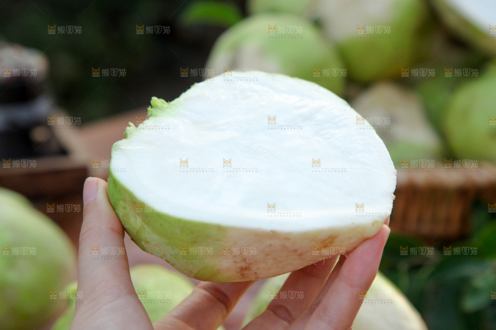 芥菜疙瘩