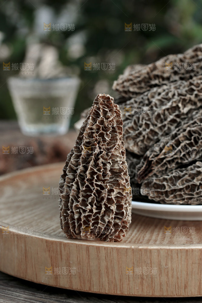 羊肚菌