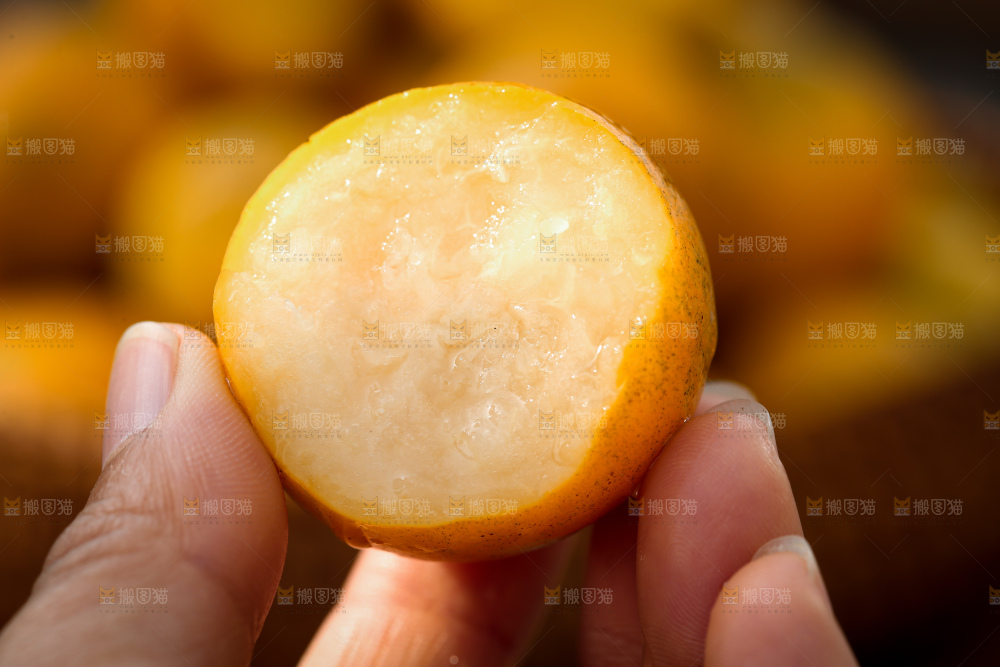 脆蜜金柑
