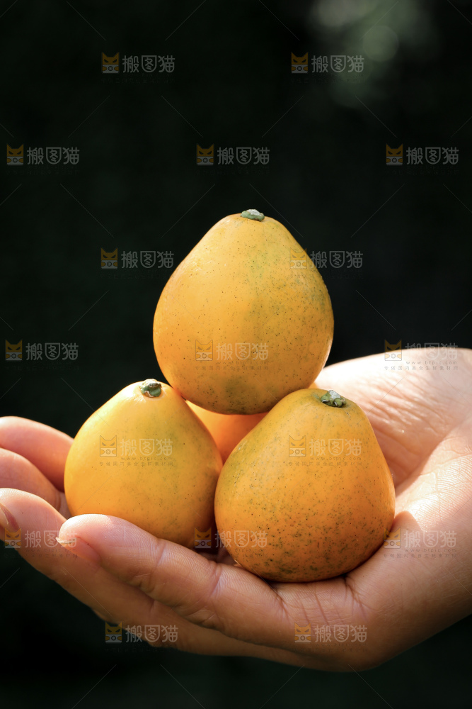 脆蜜金柑