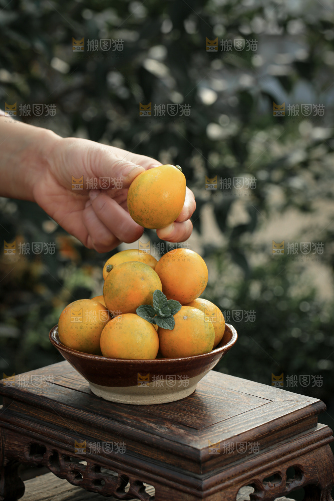 脆蜜金柑