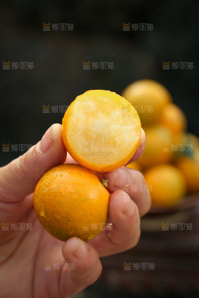 脆蜜金柑