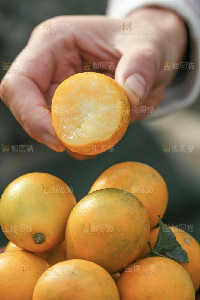 脆蜜金柑