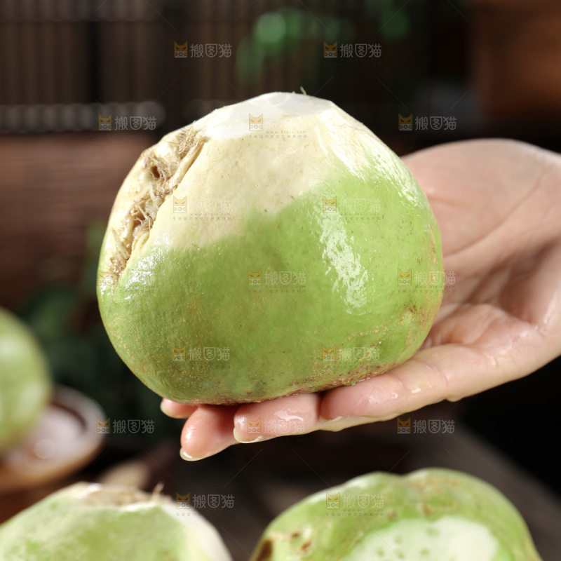 芥菜疙瘩