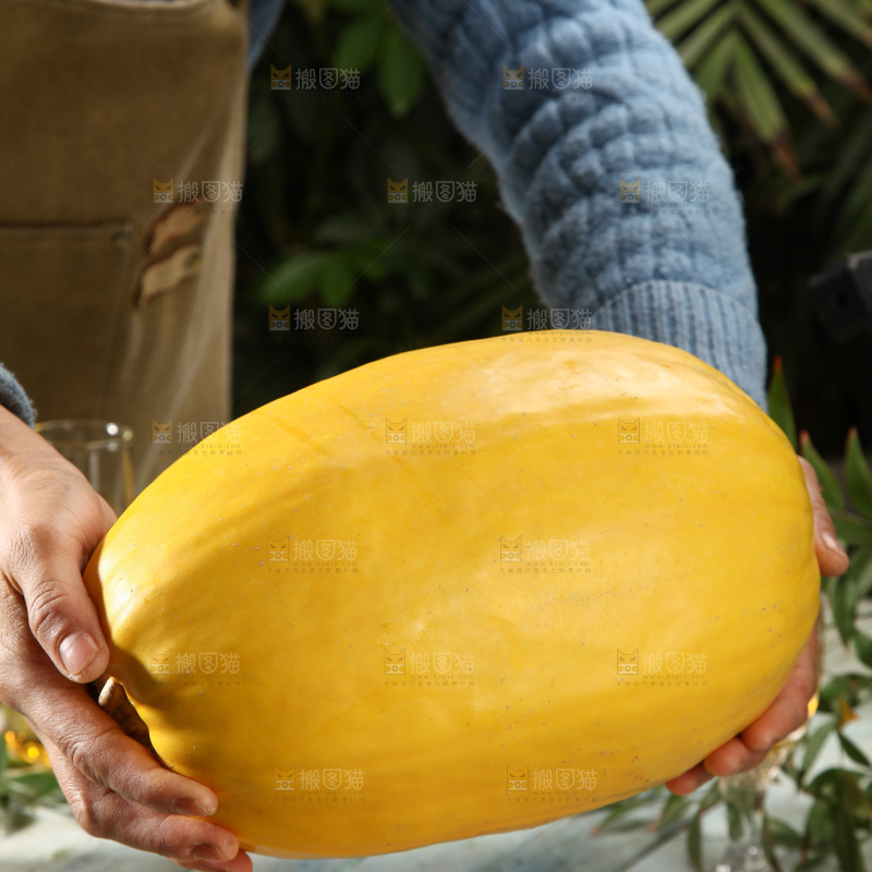 拉丝瓜