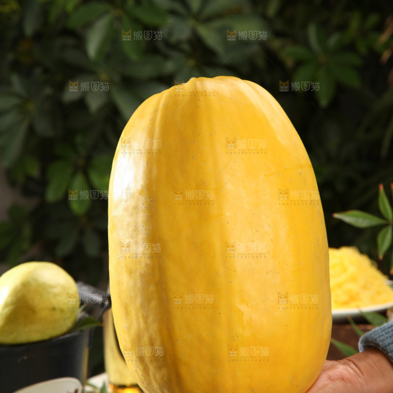 拉丝瓜