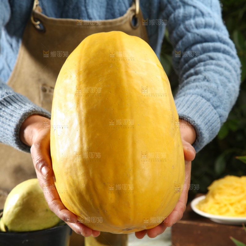 拉丝瓜