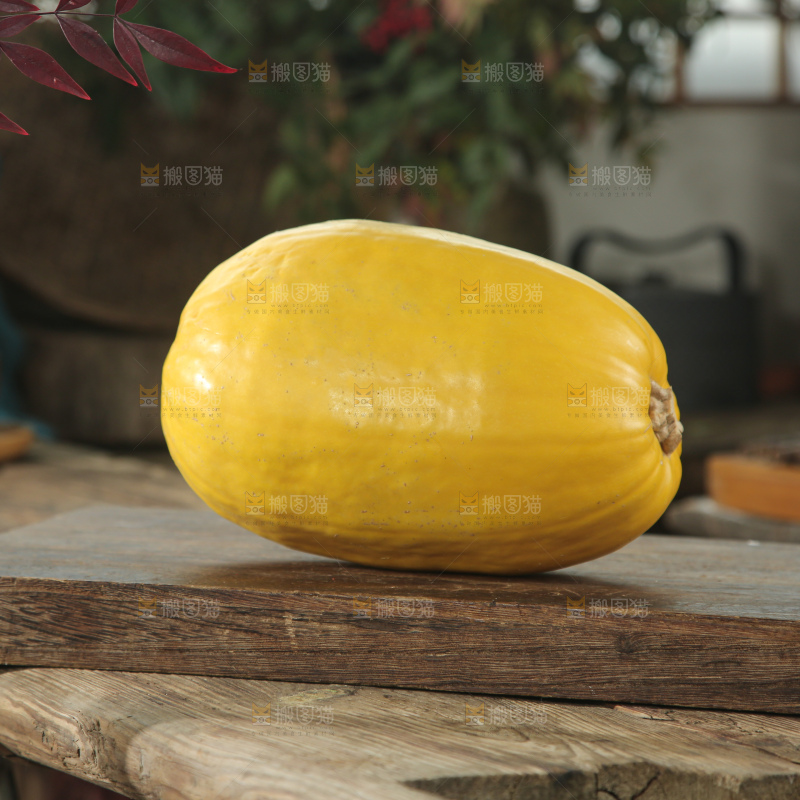 拉丝瓜