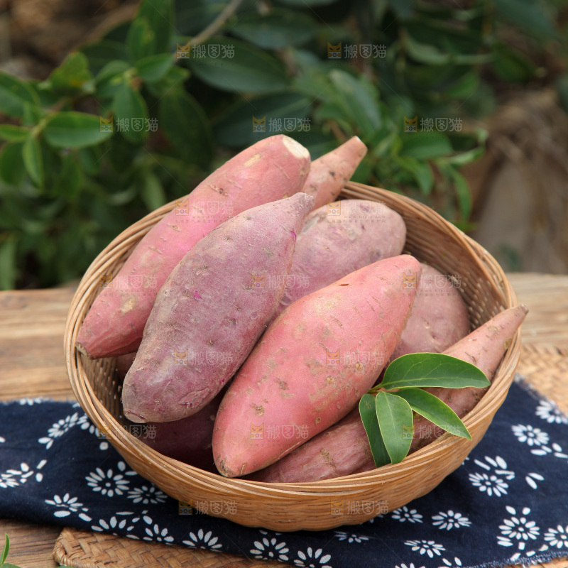 四色蜜薯