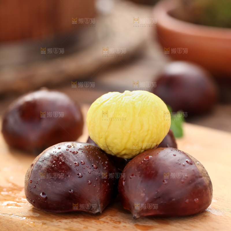 丹东大板栗