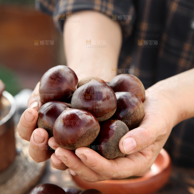 丹东大板栗