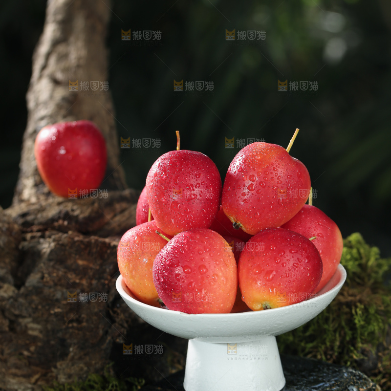 鸡心果