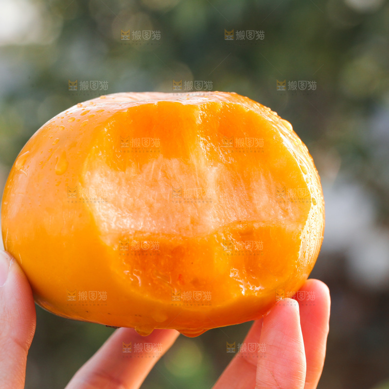 脆柿