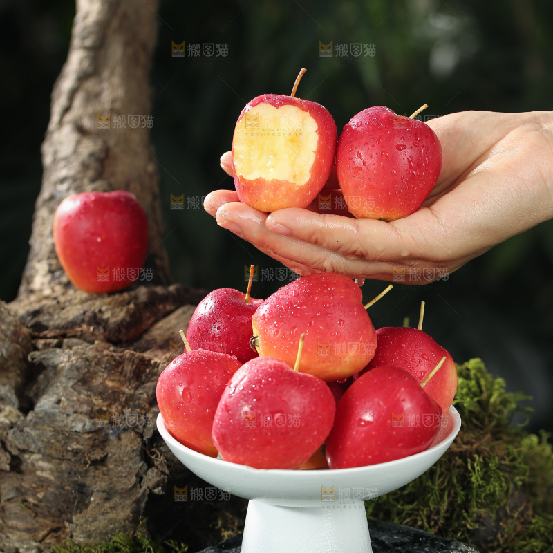 鸡心果